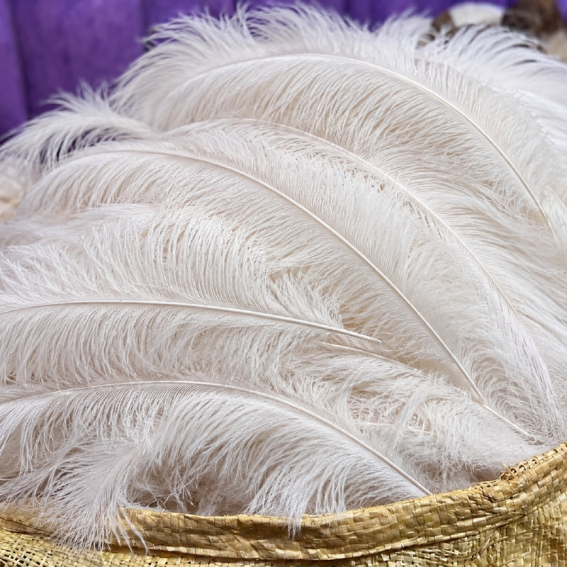 Why Ostrich Feathers Are Perfect For Luxury Accessory Design