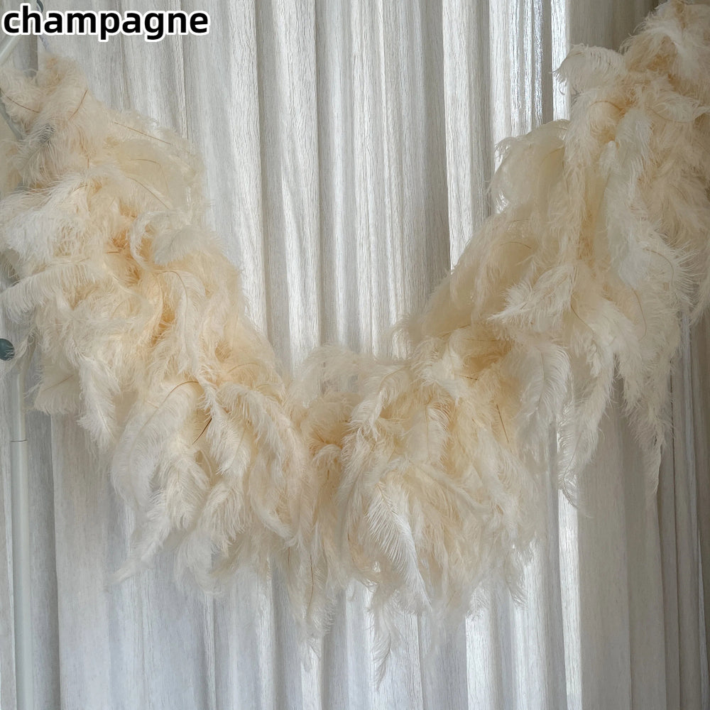 Champagne Whole Feather Shawl