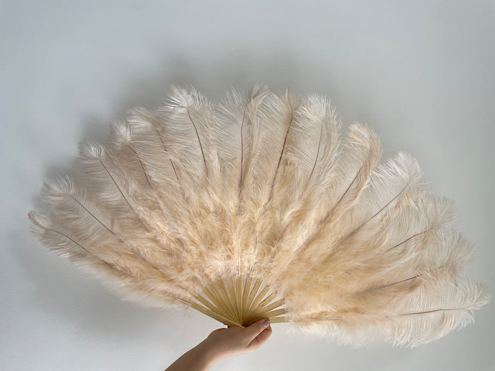 Champagne Ostrich Feather Fan