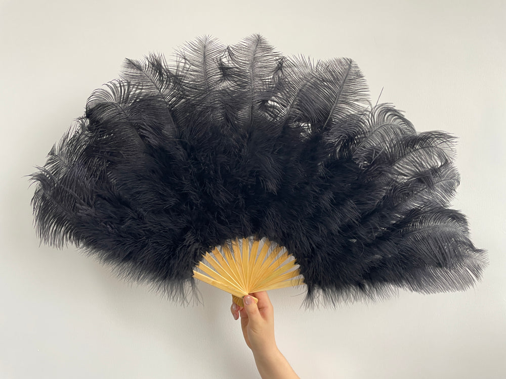 Black Ostrich Feather Fan