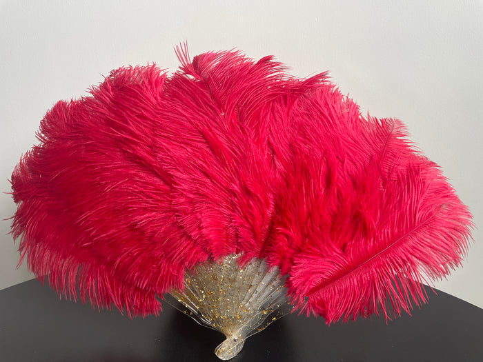 Red Ostrich Feather Resin Fan