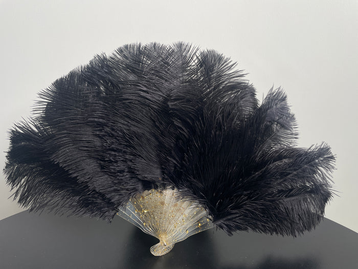 Black Ostrich Feather Resin Fan