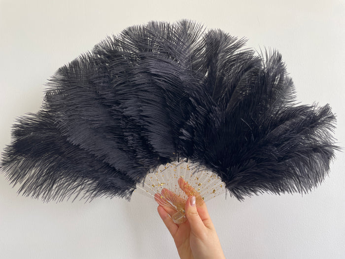 Black Ostrich Feather Resin Fan