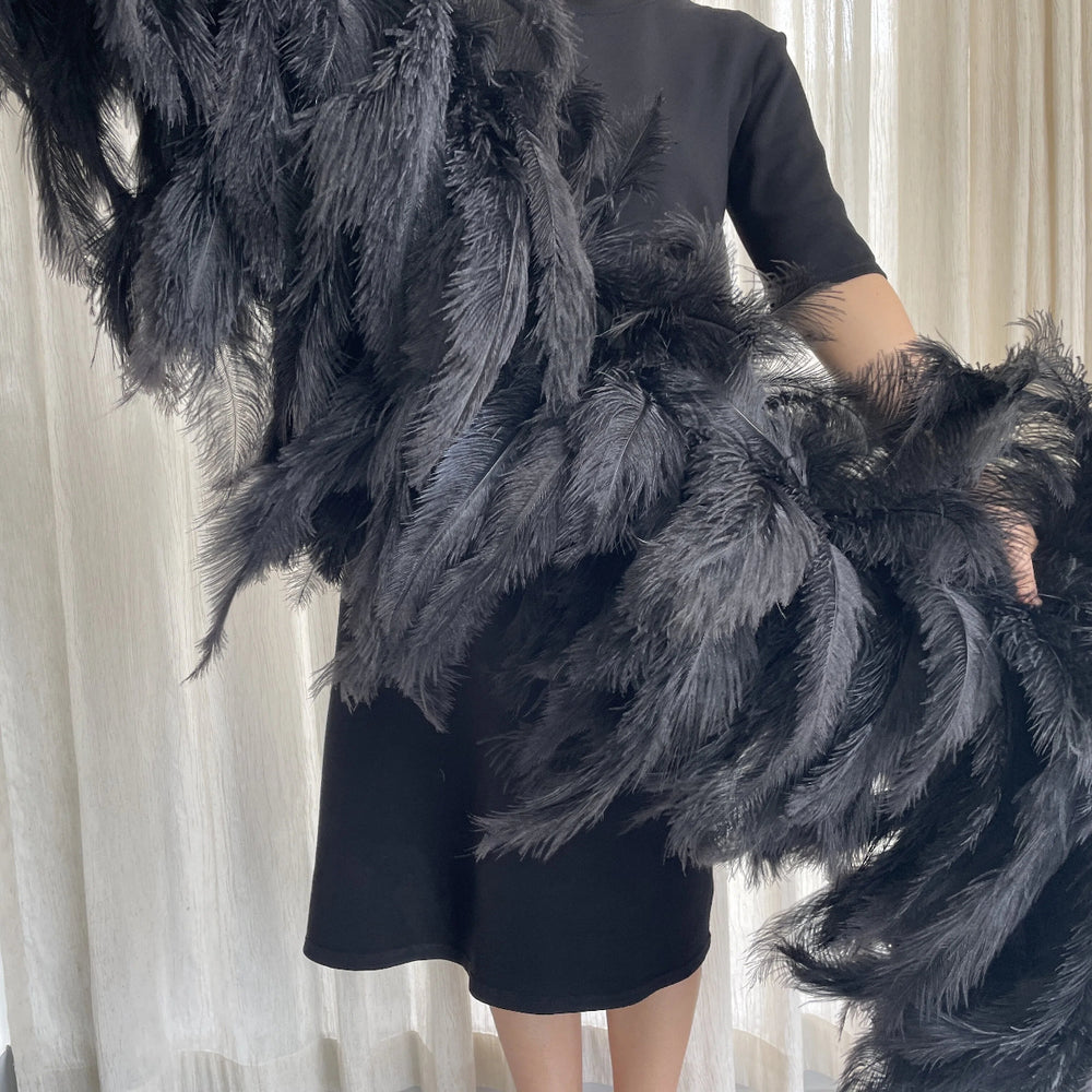 Black Whole Feather Shawl