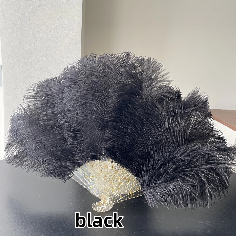 Black Ostrich Feather Resin Fan