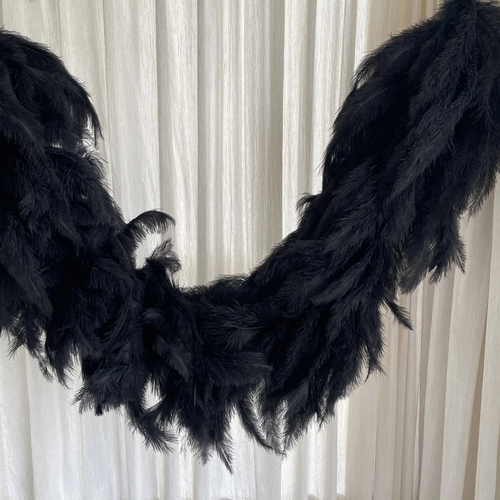 Black Whole Feather Shawl