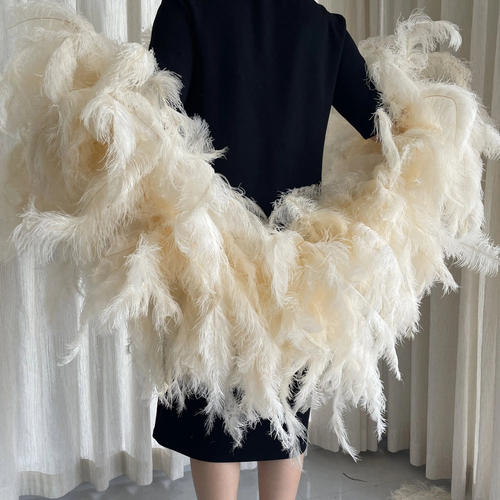 Champagne Whole Feather Shawl