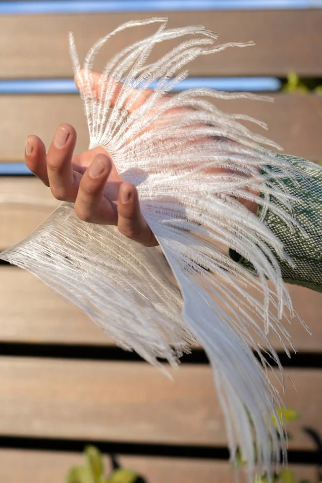 Ostrich feather detail