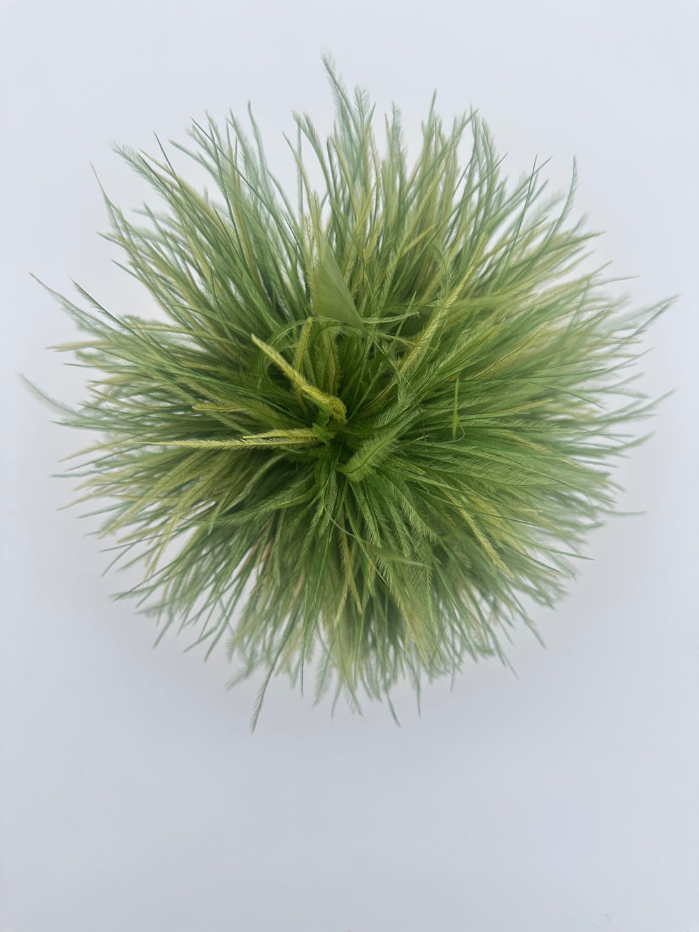 Olive Green Ostrich Feather Brooch with Triangle Feather Accents