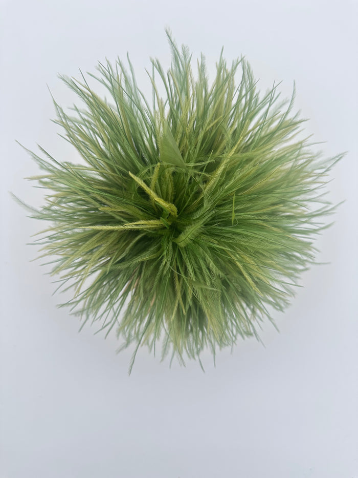 Olive Green Ostrich Feather Brooch with Triangle Feather Accents