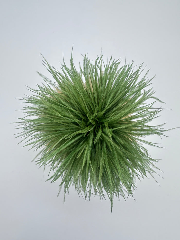 Grass Green Ostrich Feather Brooch