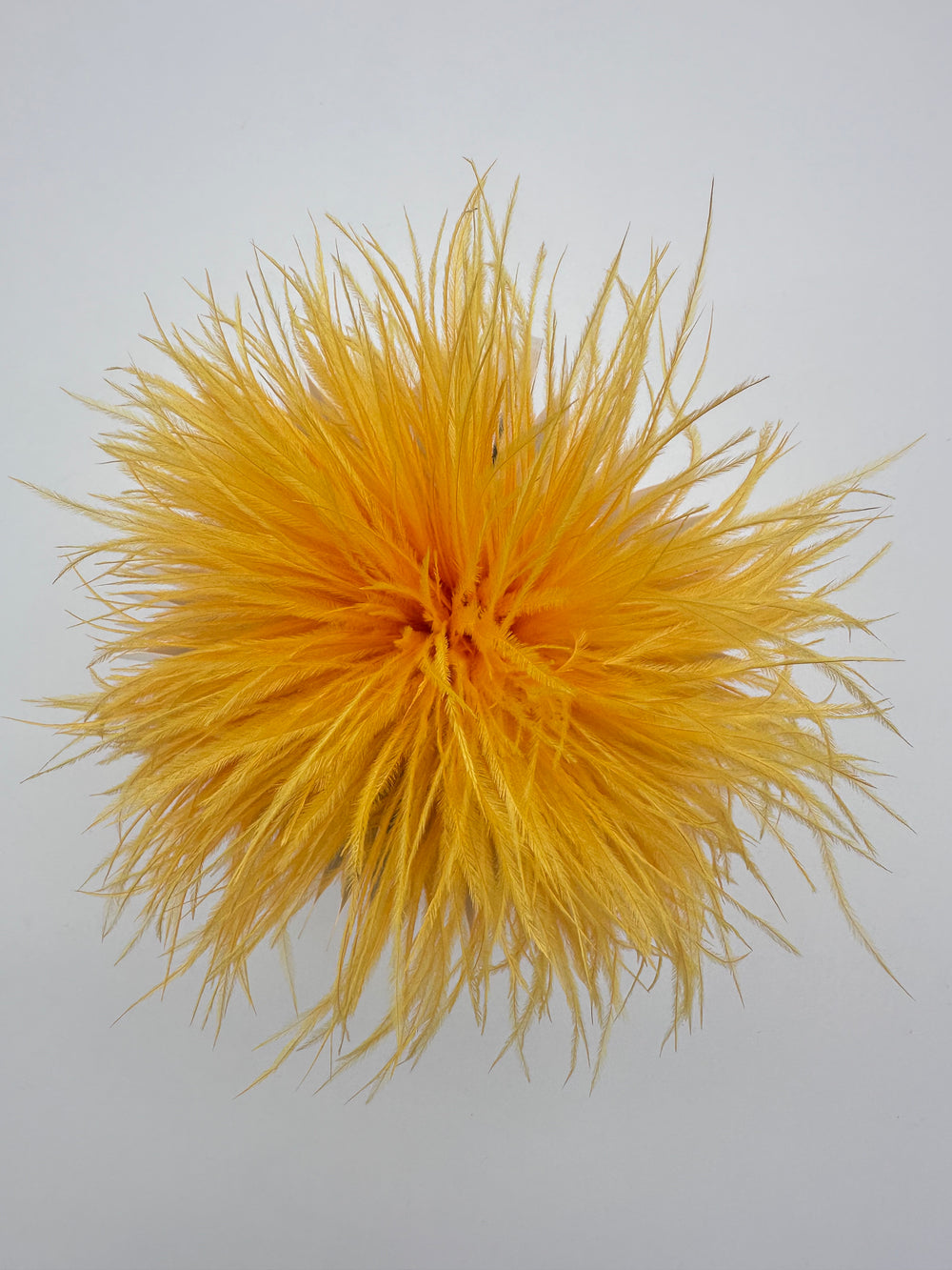Gold Ostrich Feather Brooch