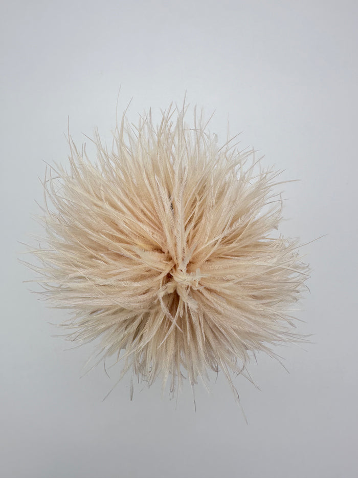 Champagne Ostrich Feather Brooch